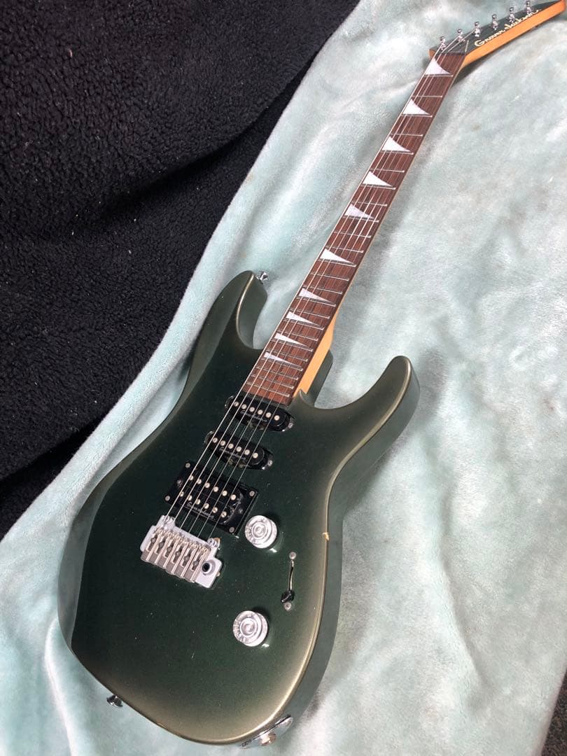 ぺ*ん様 グローバージャクソン　ディンキー