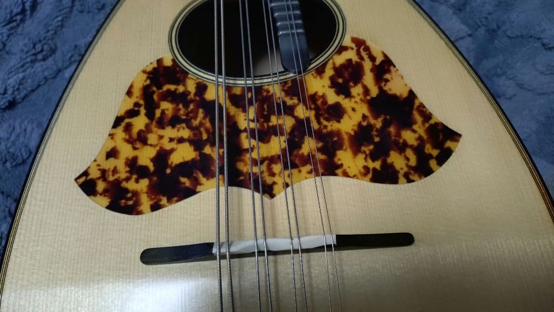 マンドラ本体 スプルースボディ 8弦