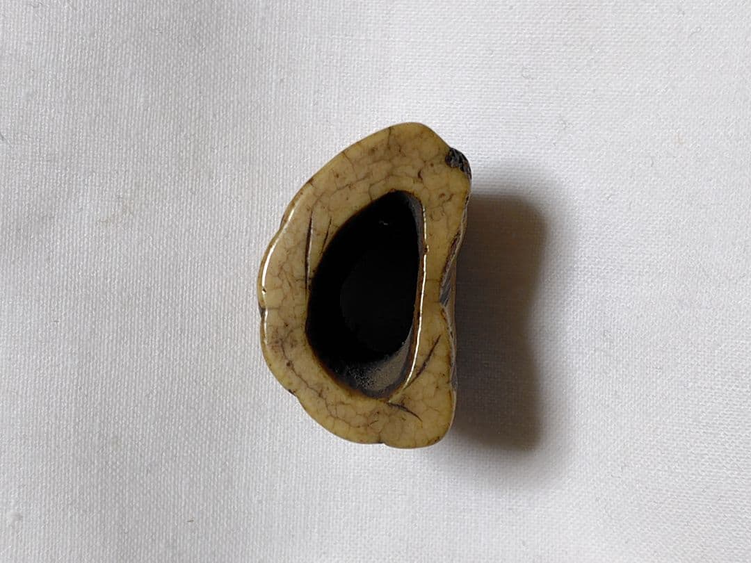 ウニコール　根付