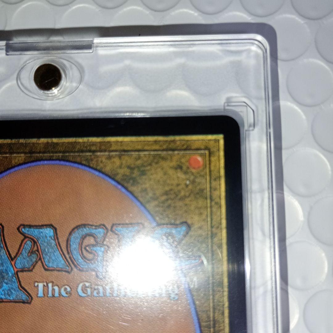 MTG　マジックザギャザリング　量子の謎かけ屋