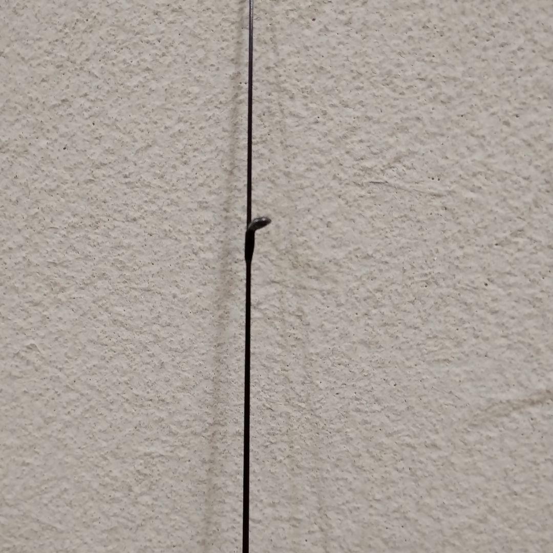 オリムピック・21コルト 21GCORS-642L-HS