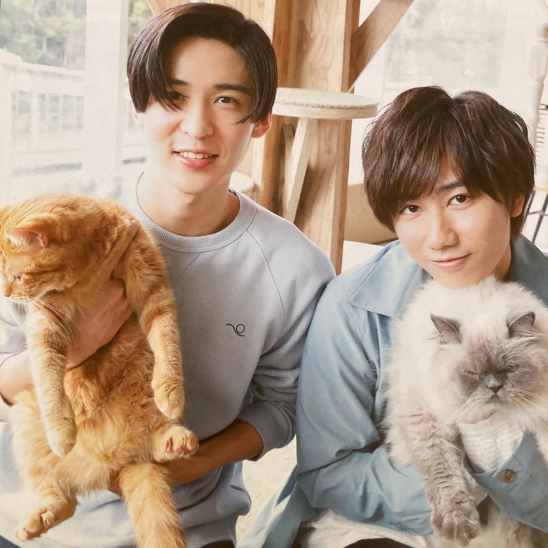 青*様 ★目黒蓮＆阿部亮平★めめあべ完全版★切り抜きファイル32P★匿名配送★激