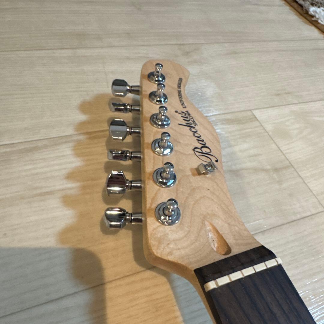 「25th ピック2枚セット」バッカス　バンビーナキャスター風　テレキャスター