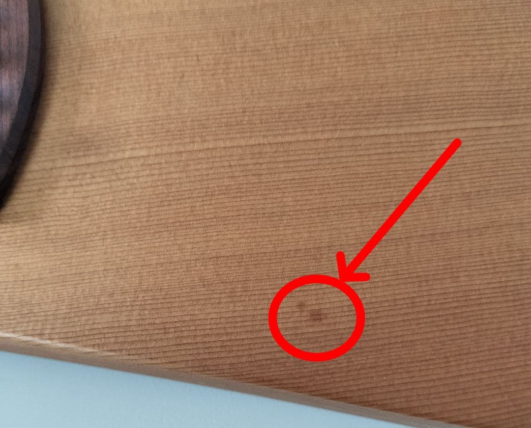 Martin　マーティン　バックパッカー　ギター