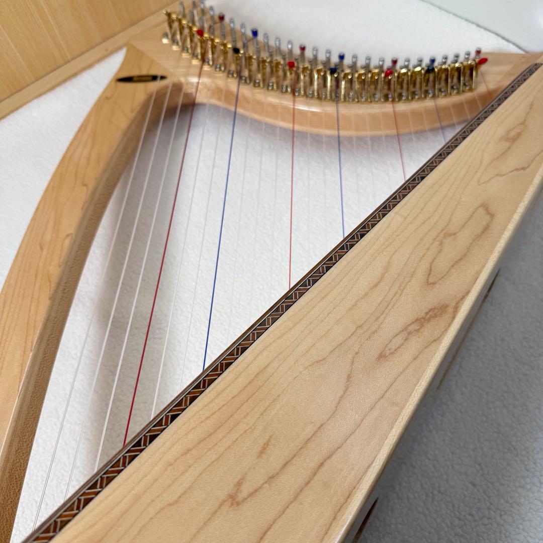Aoyama 青山ハープ　サウルハープ　25S 専用ケース付き　25弦