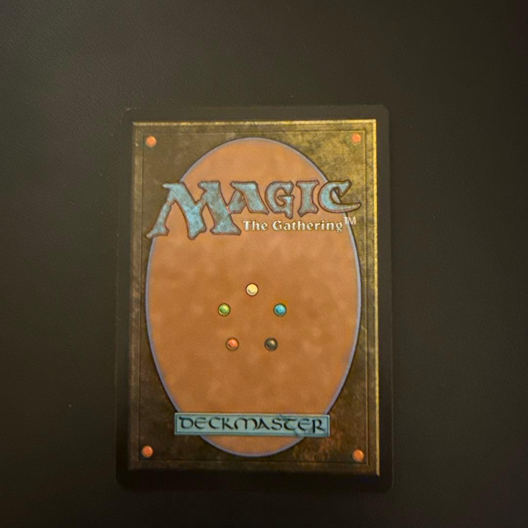 【SPG】霧深い雨林　ドラゴンスケイルfoil 日本語