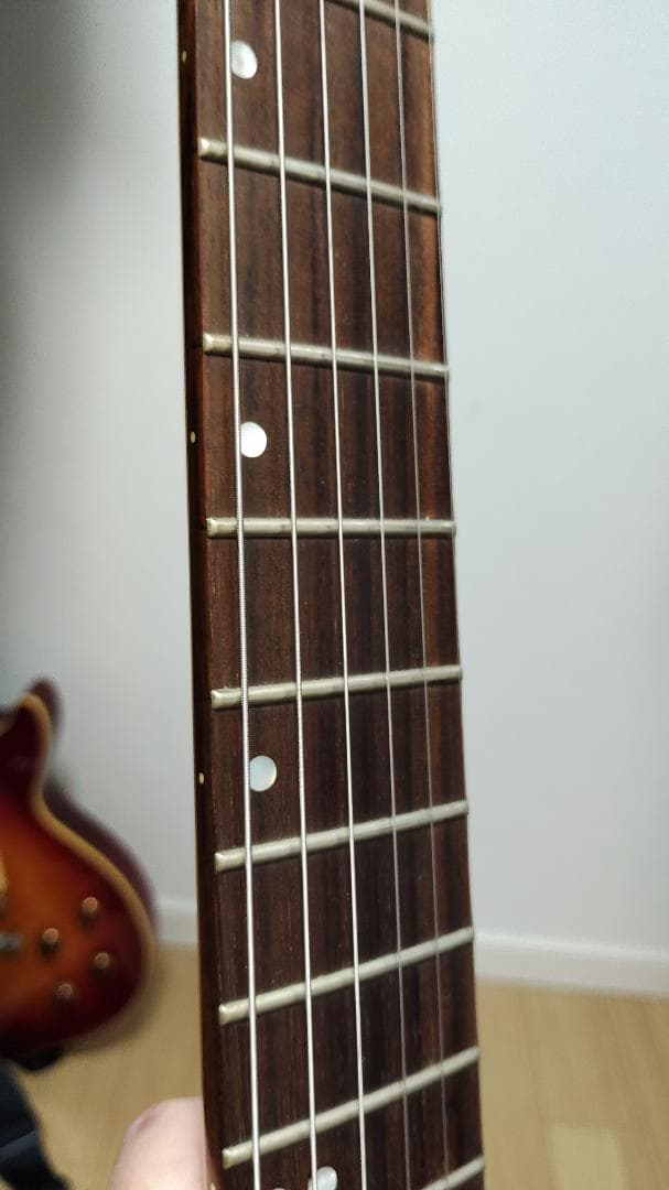 Greg Bennett Interceptor IC-30 フロイドローズ