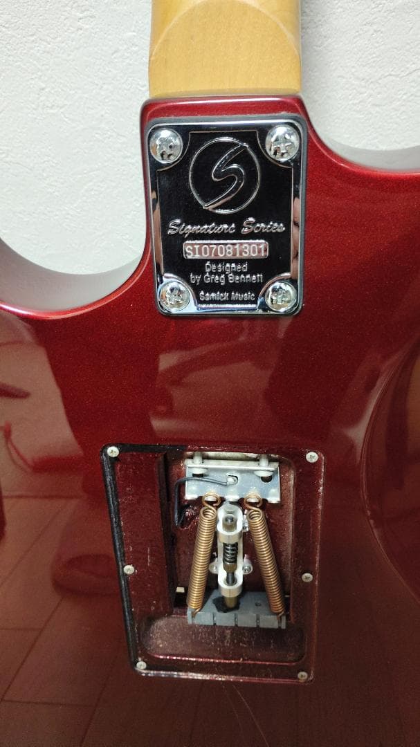 Greg Bennett Interceptor IC-30 フロイドローズ