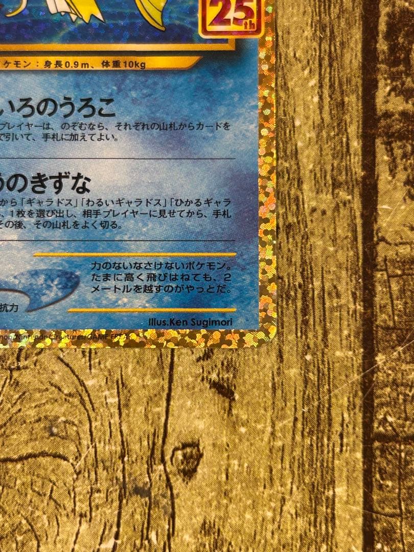 【美品】ひかるコイキング 25th ANNIVERSARY プロモ