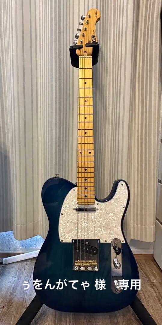 ギター FGN Neo Classic NTE100MAH SBB