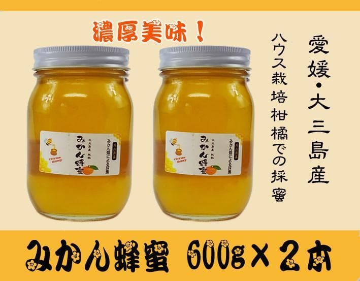 【KAZU】600ｇ蜂蜜５本　1000ｍｌみかんジュース６本　【２箱発送】