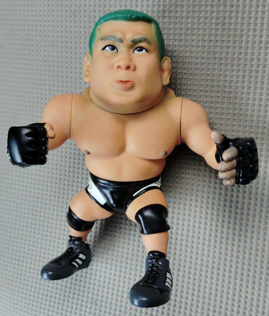 HAOコレクション　藤田和之　レア‼️