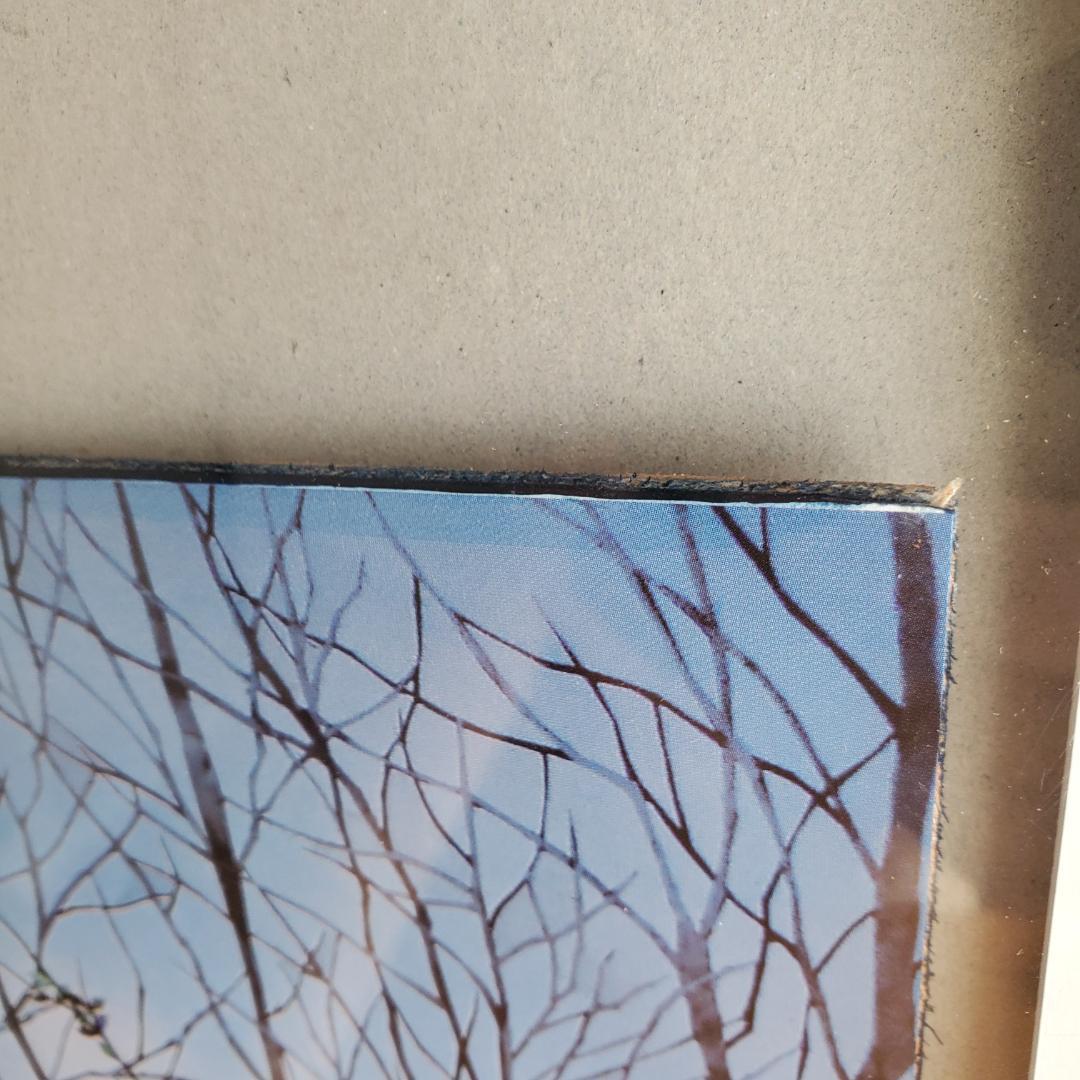 藤城清治 オフセットリト 湿原のミズバショウとこびと 額装 60 正方形 影絵