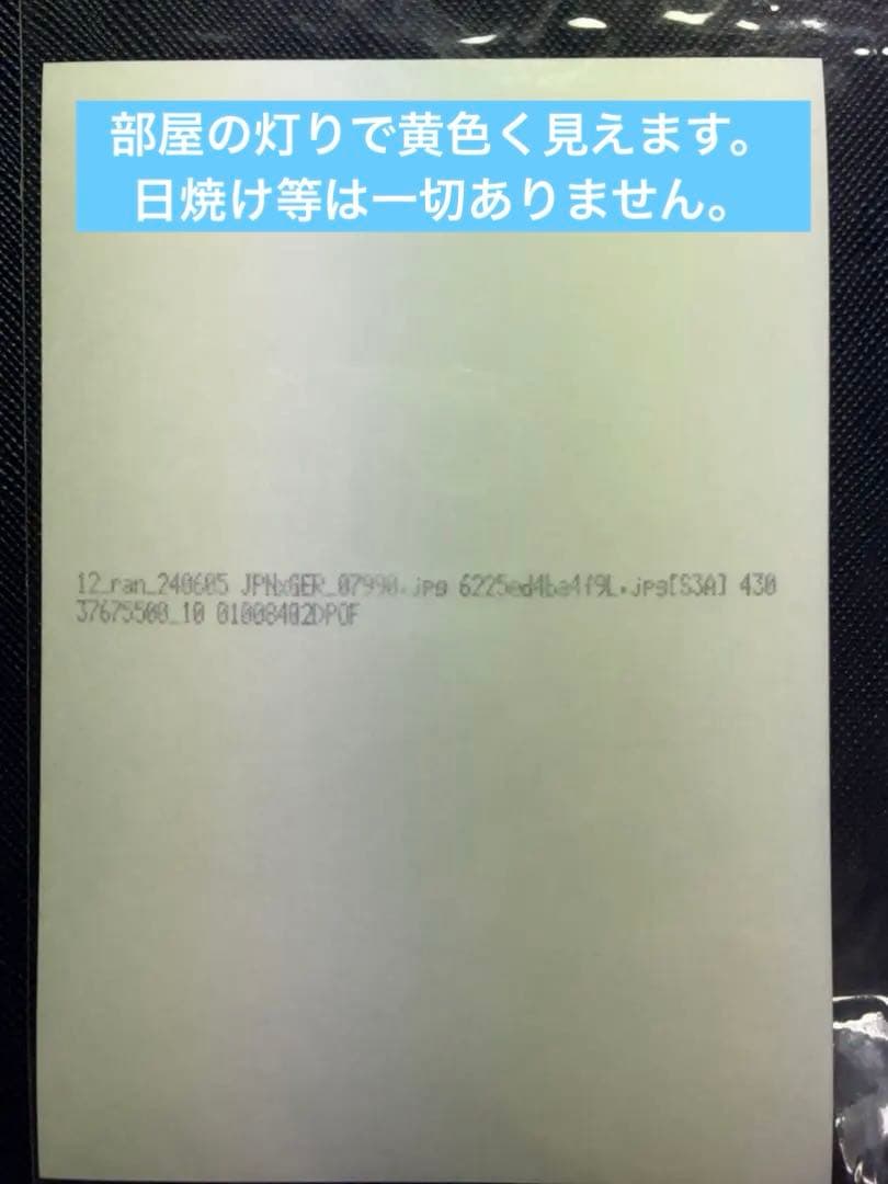 バレーボール男子日本代表　髙橋藍選手　直筆サイン入り写真
