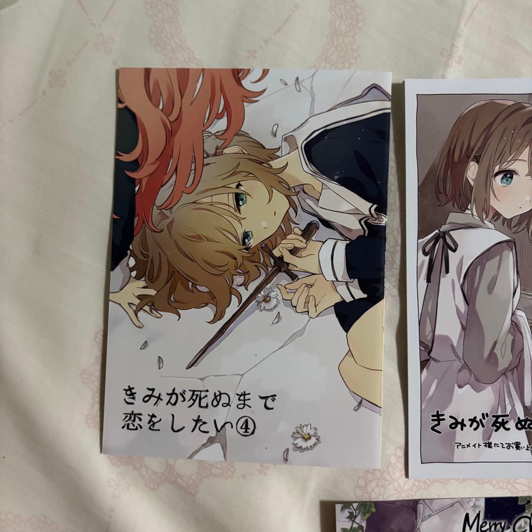 きみが死ぬまで恋をしたい　アニメイト　特典　特装版小冊子　クリスマスカード