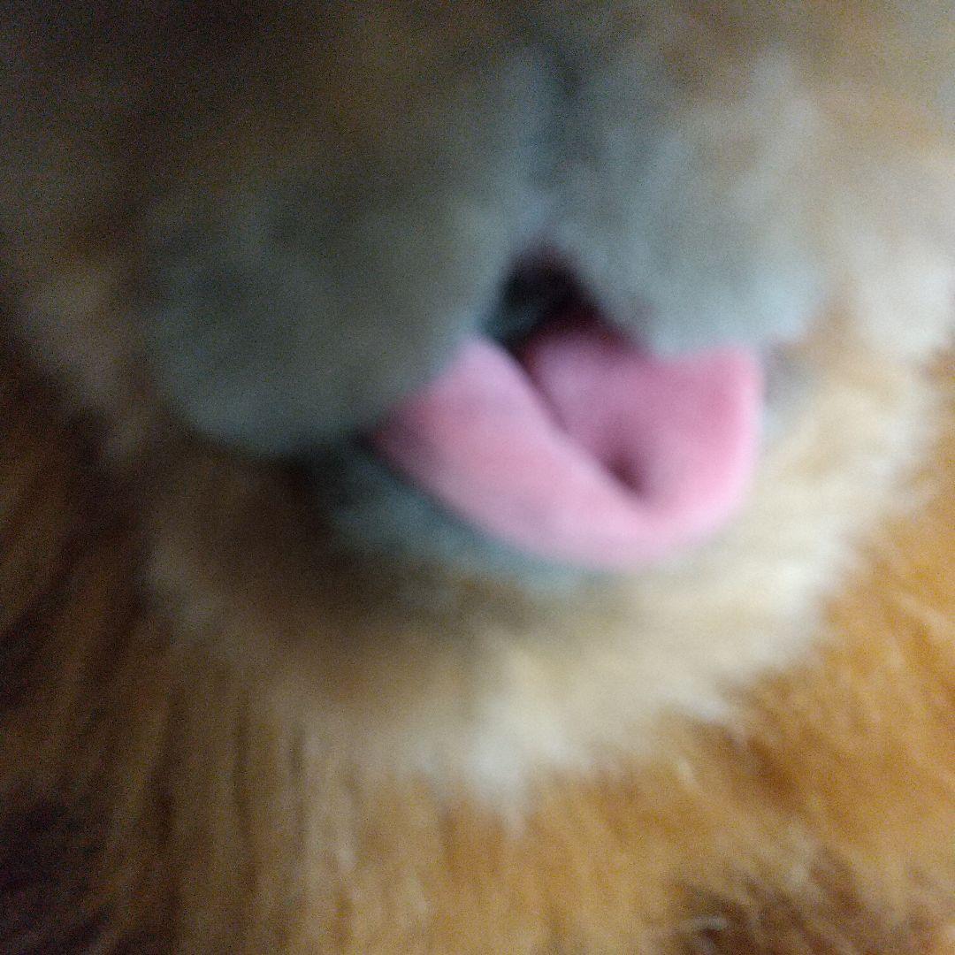 SEKIGUCHI 昭和レトロ チャウチャウ犬 大型ぬいぐるみ レア