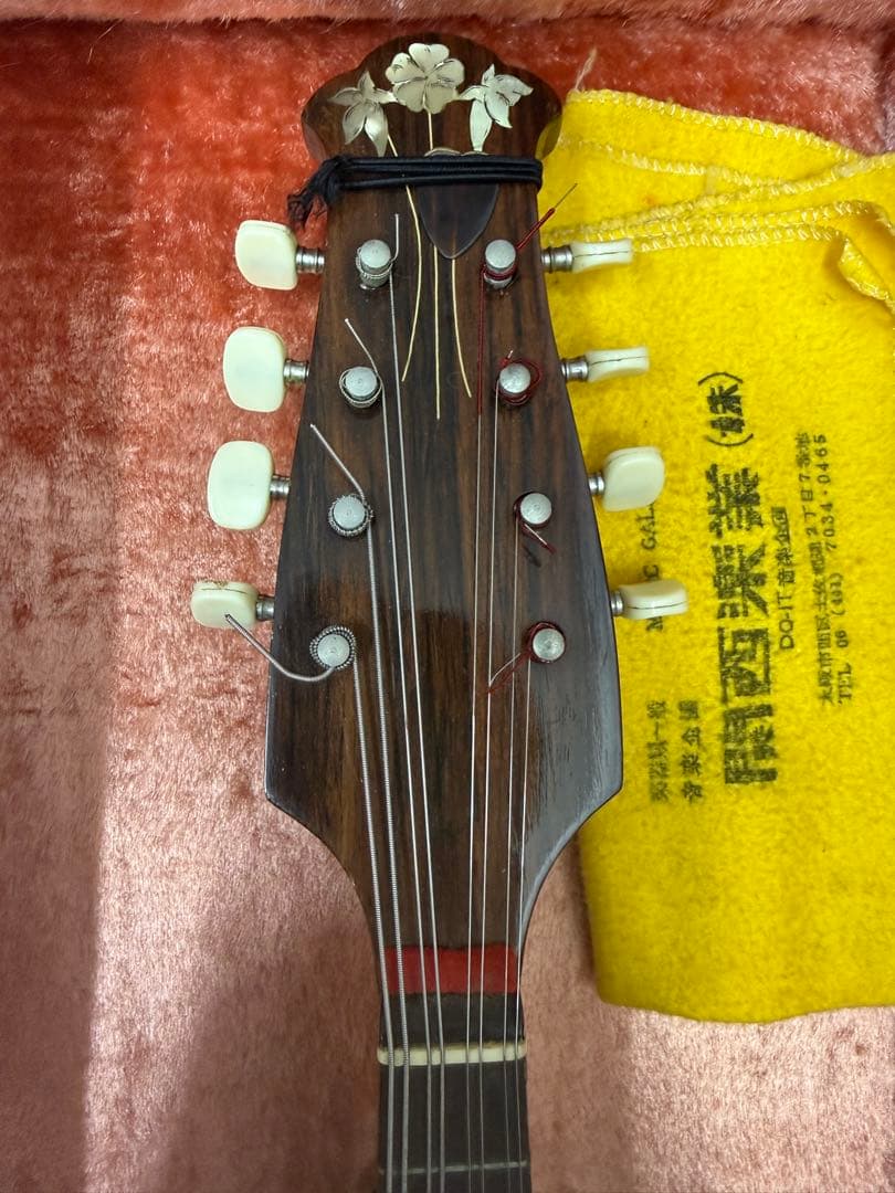 マンドリン カラーチェ ヴィンテージ1976年製造 本体 ケース付 希少 状態良