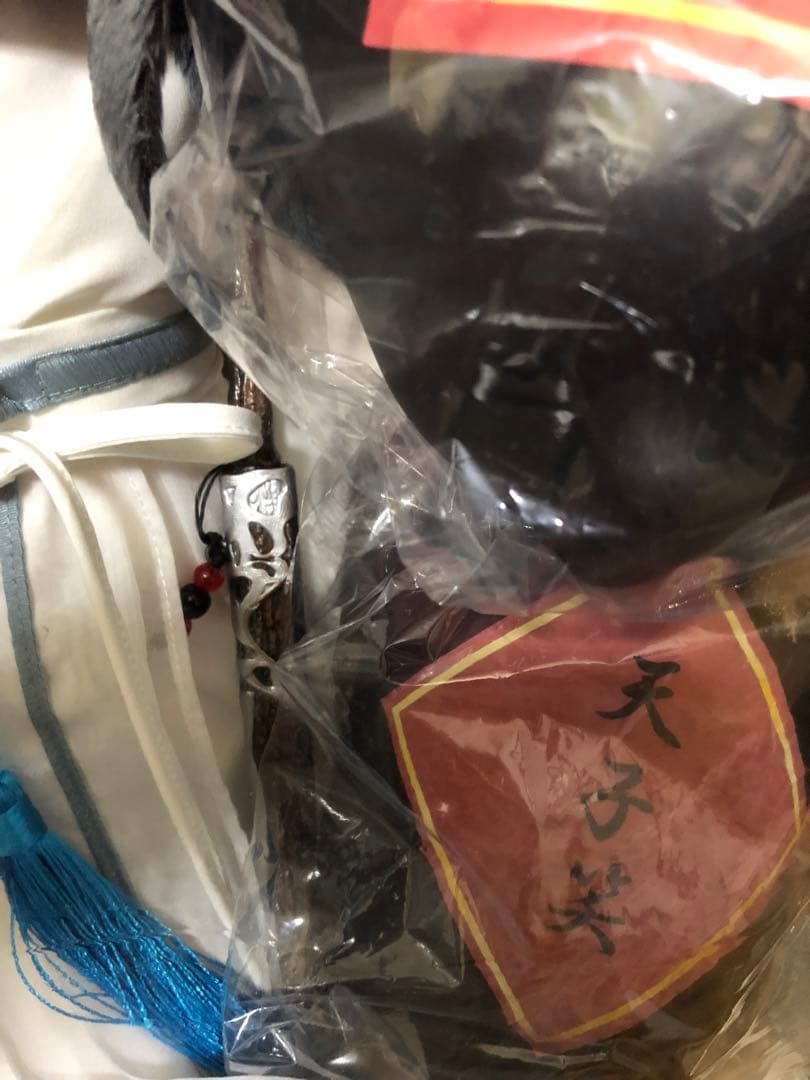 陳情令　座学時代　藍湛　魏嬰　ぬいぐるみ 40cm + 衣装一式　 肖戦 王一博