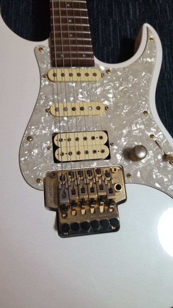 FERNANDES LA-80kk L'Arc-En-Ciel.Gotoh ペグ