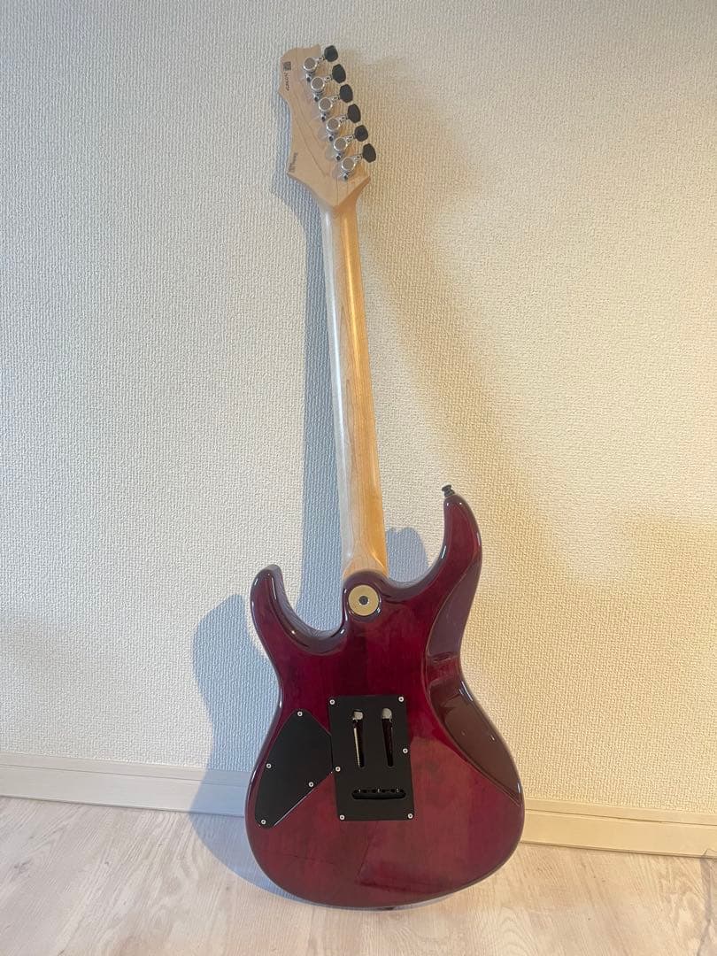 ギター FREEDOM CUSTOM GUITAR RESEARCH HYDRA 2P