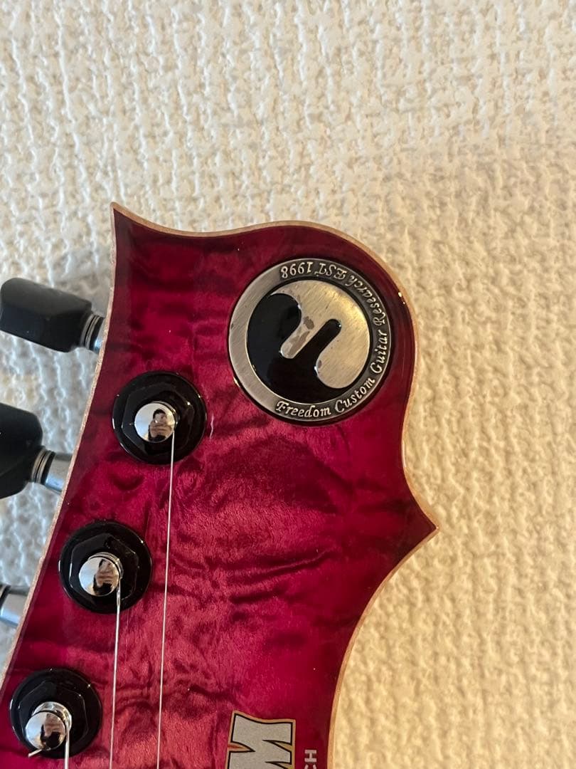 ギター FREEDOM CUSTOM GUITAR RESEARCH HYDRA 2P