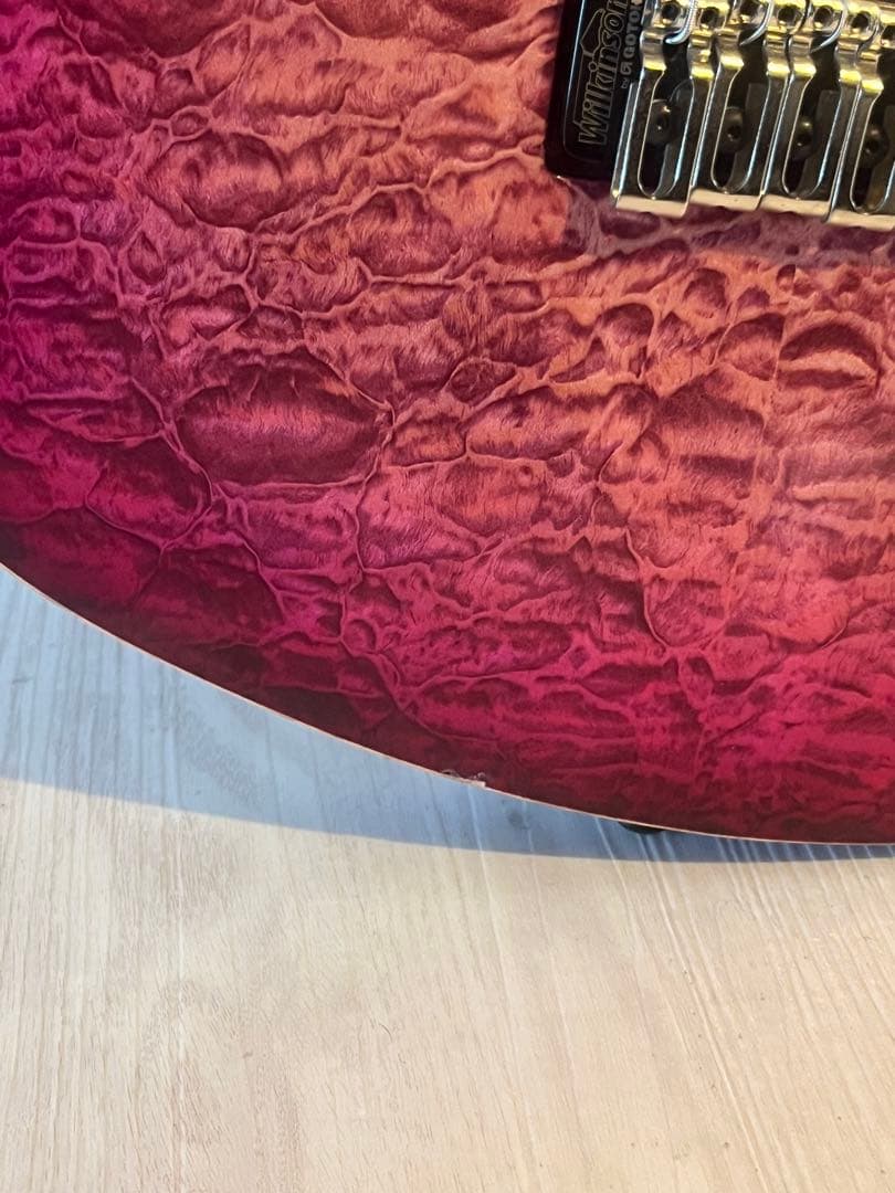 ギター FREEDOM CUSTOM GUITAR RESEARCH HYDRA 2P