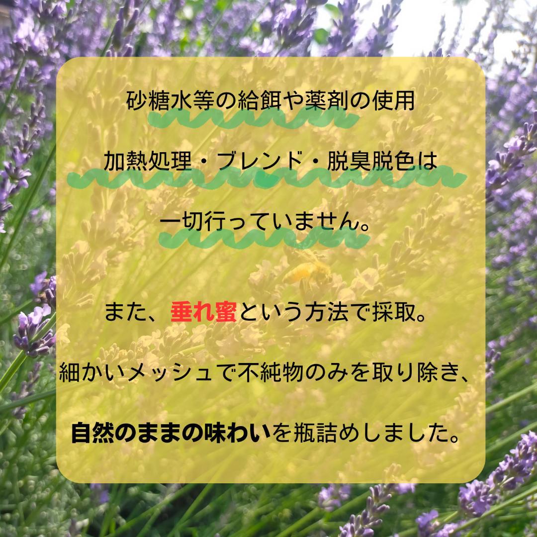 【ぜんぶ群違い】ニホンミツバチの国産百花蜜 400g×3本　非加熱無添加天然蜂蜜