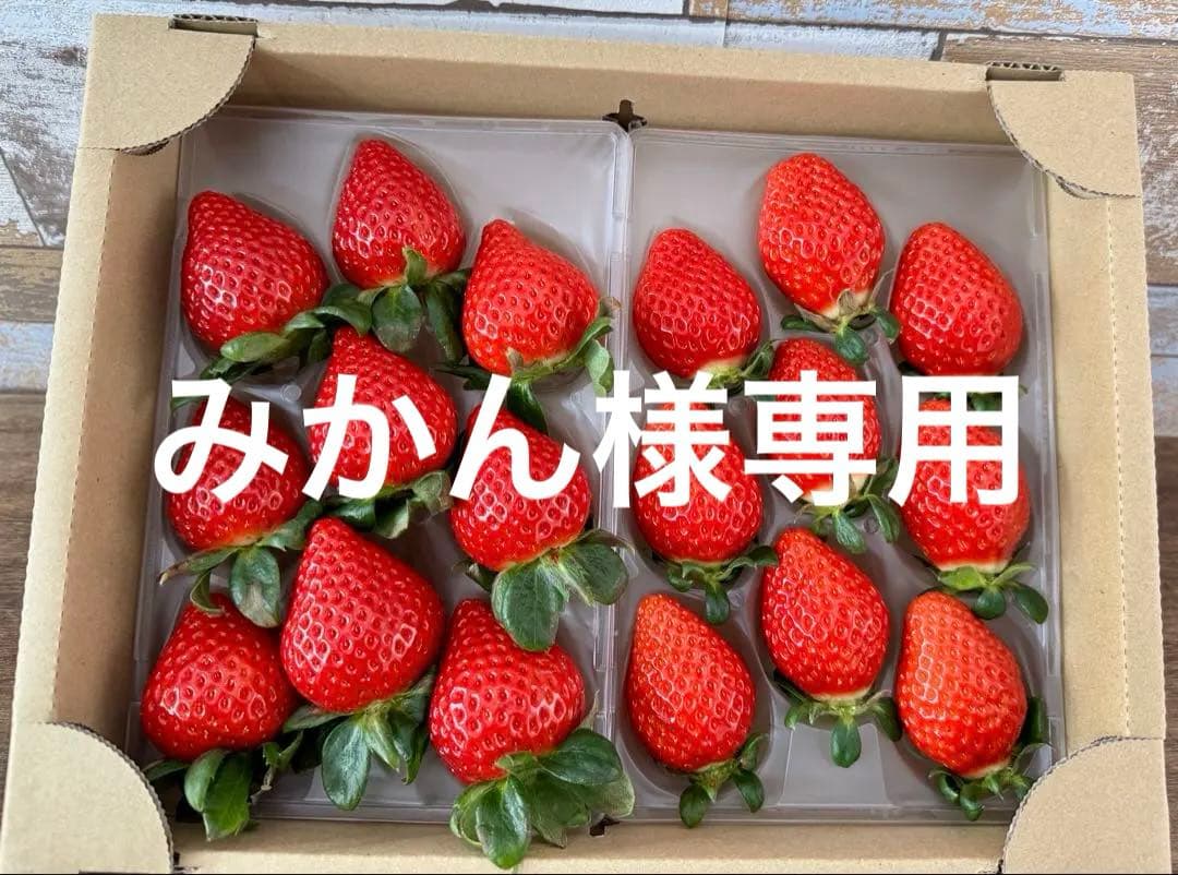 埼玉県プレミアムいちご あまりん&べにたま 食べ比べセット 3箱