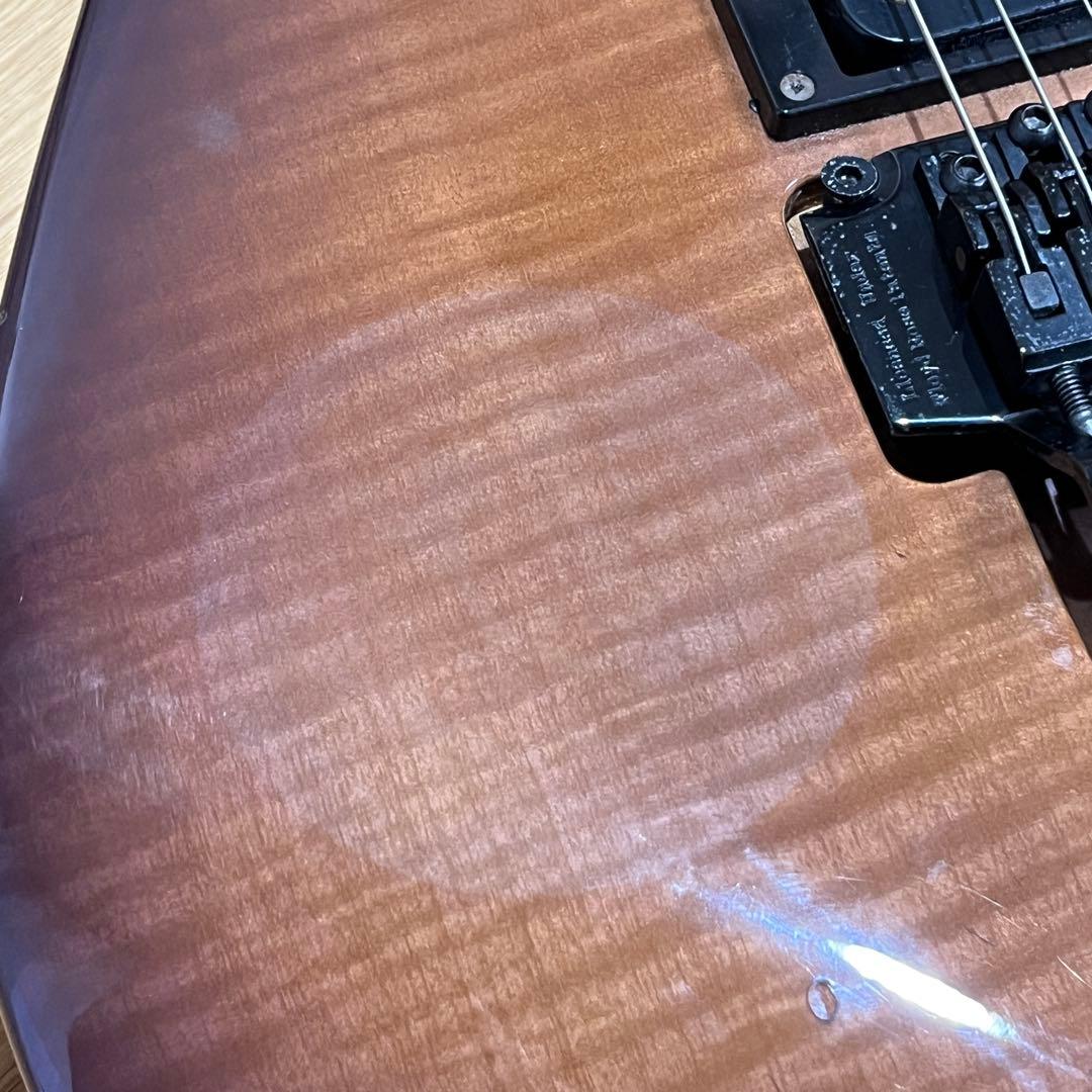 m*n様 Chatting Bird by Caparison ディンキータイプ