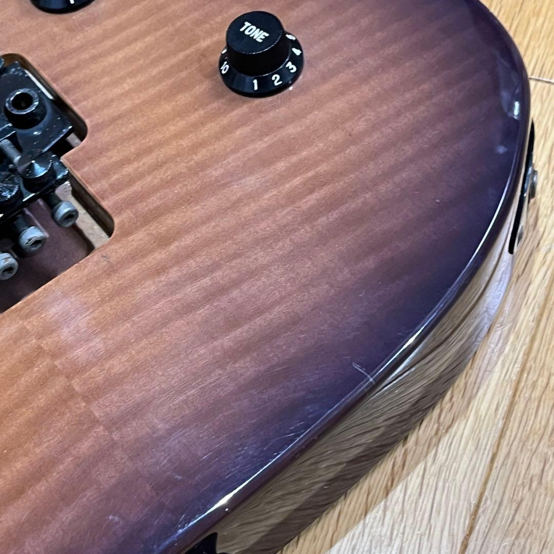 m*n様 Chatting Bird by Caparison ディンキータイプ