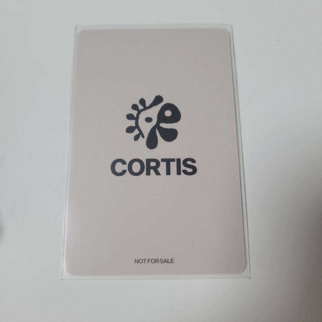 CORTIS ジェームス Universal 当選 ラキドロ