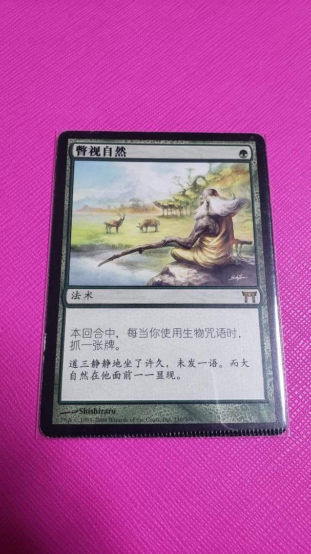 MTG 垣間見る自然 中国語 クリンプド エラーカード