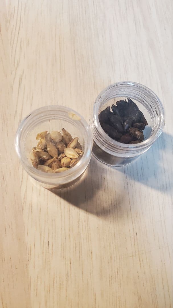 アードベッグ8年　コミッティー限定　アードコアのモルト付き