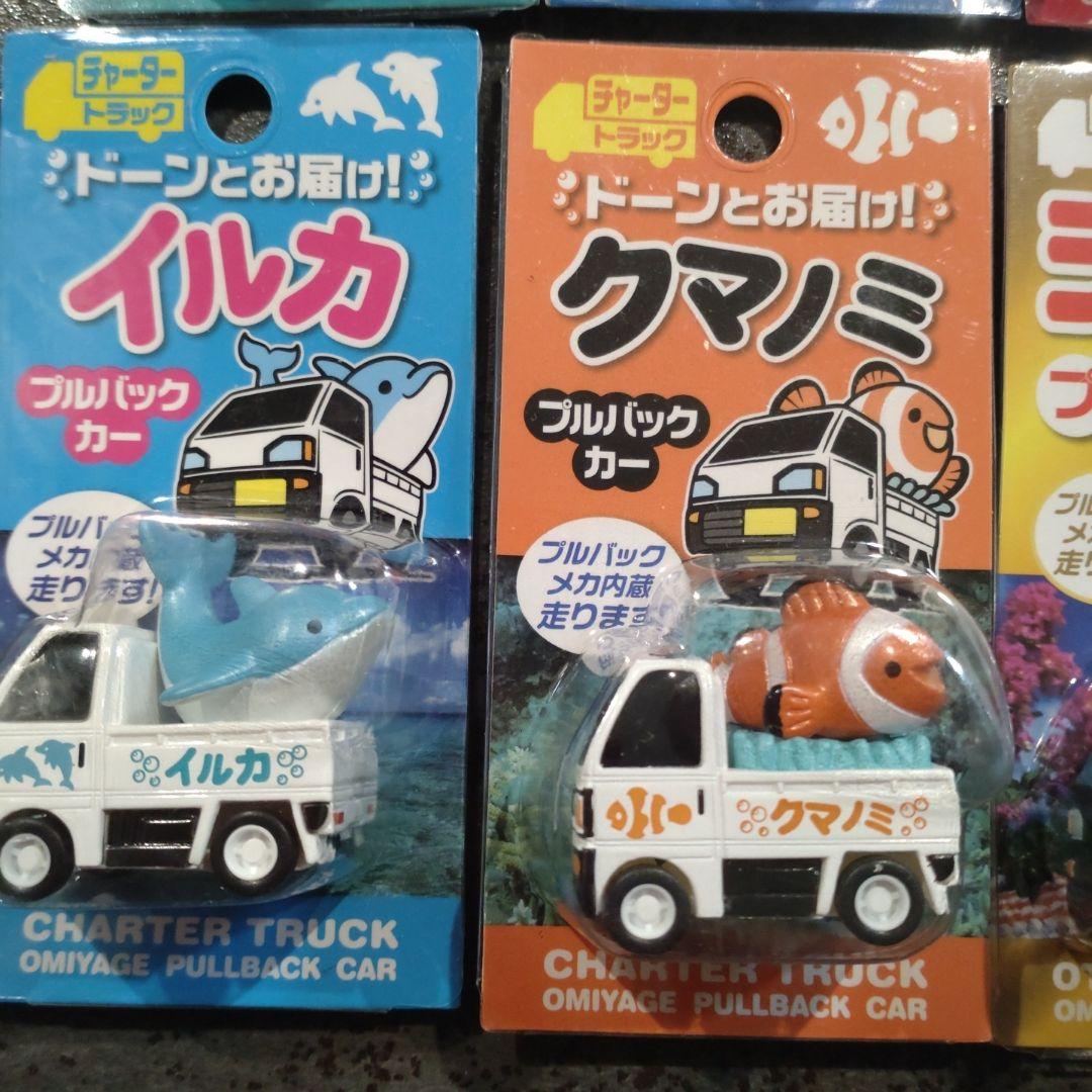 沖縄　シーサー　クマノミ　ジンベエザメ　イルカ　ホオジロザメ　プルバックカー