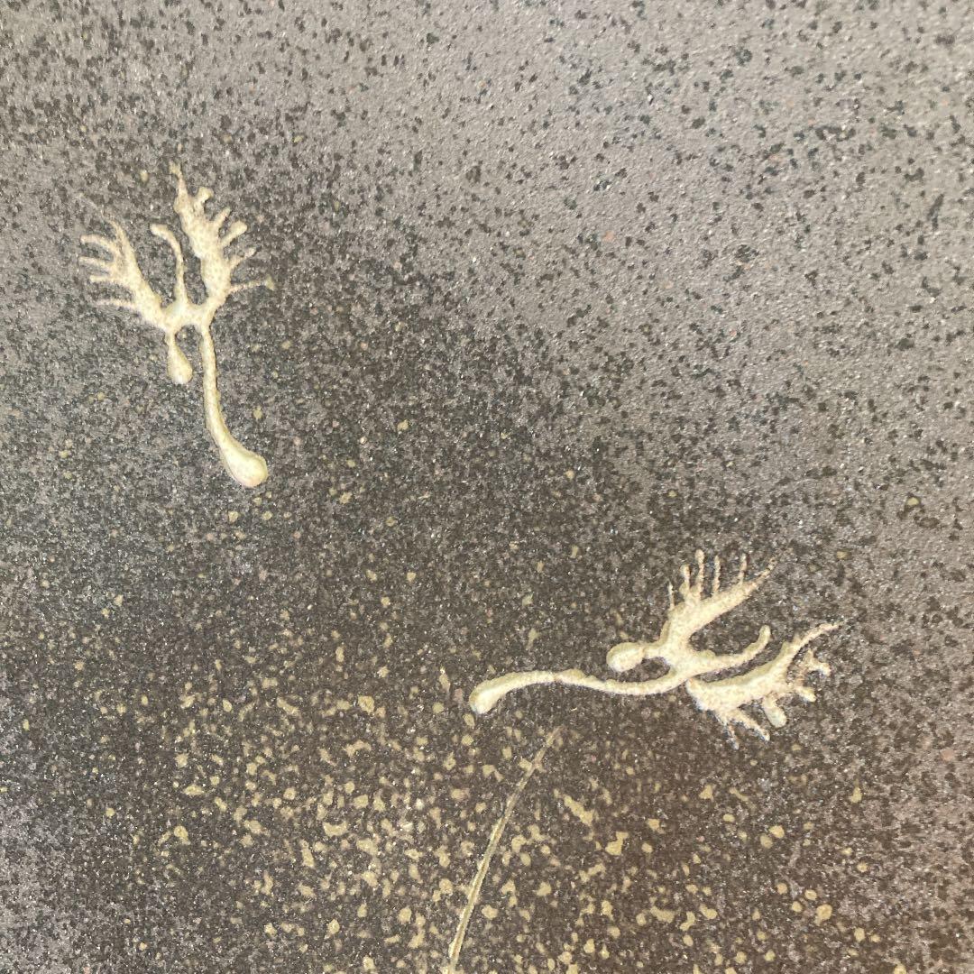 鷺草　飾り大皿　36cm