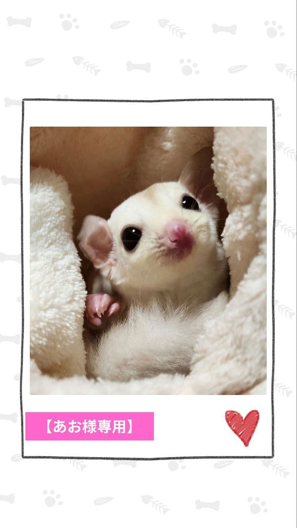 【あお】モモンガポーチ