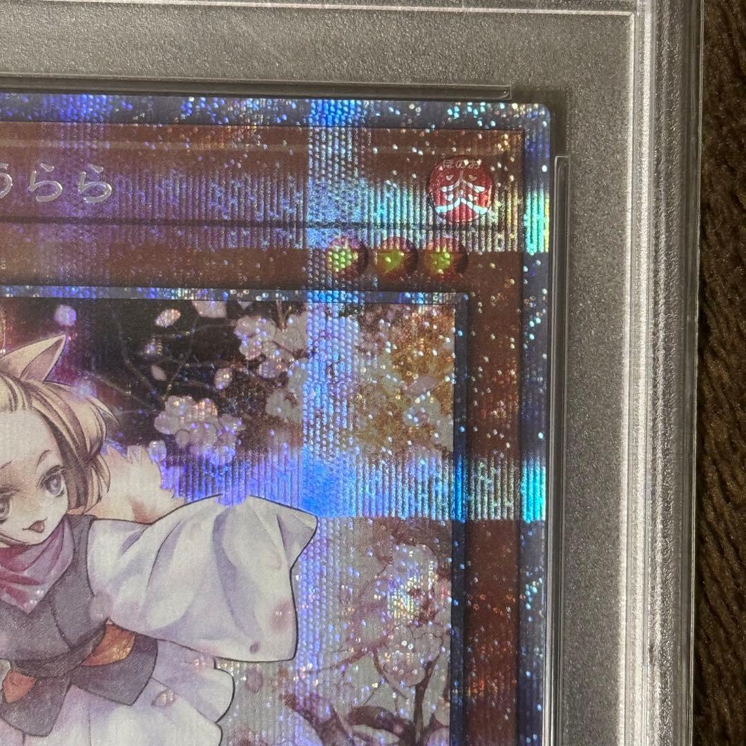 灰流うらら　プリシク　PSA10