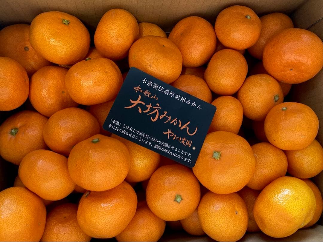 ②温州みかん 樹熟大坊みかん 秀品(贈答品同様)2Sサイズ10kg