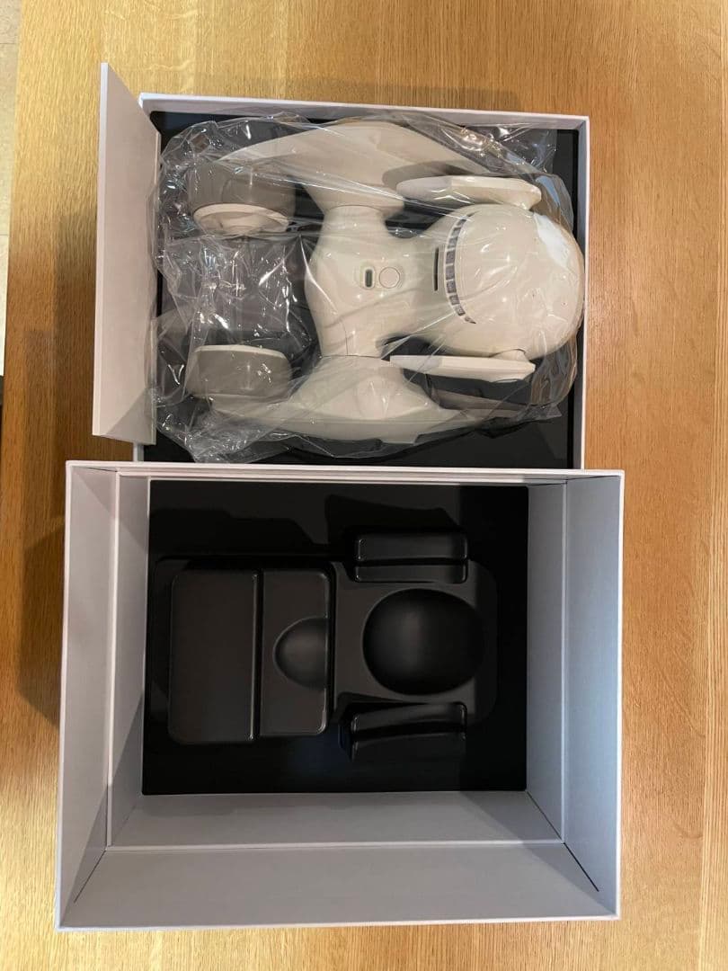 Loona (ルーナ) Blue ペットロボット 会話 chatGPT