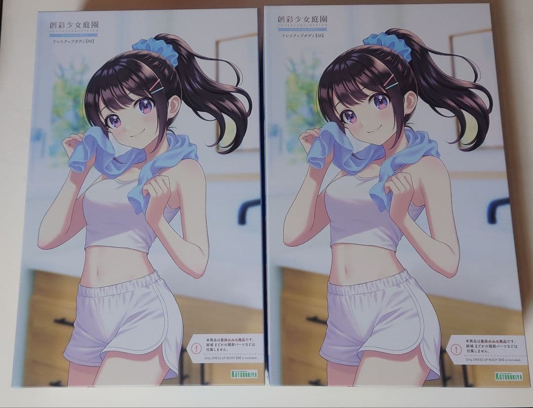 (未組立)ドレスアップボディ【M】×2個&【S】×1個セット