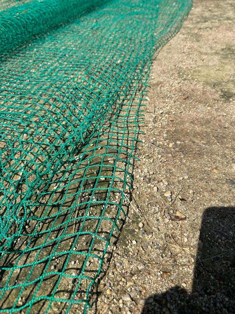 防球ネット 防鳥ネット4m×16m 目合い2.5cmメッシュ　縁無し