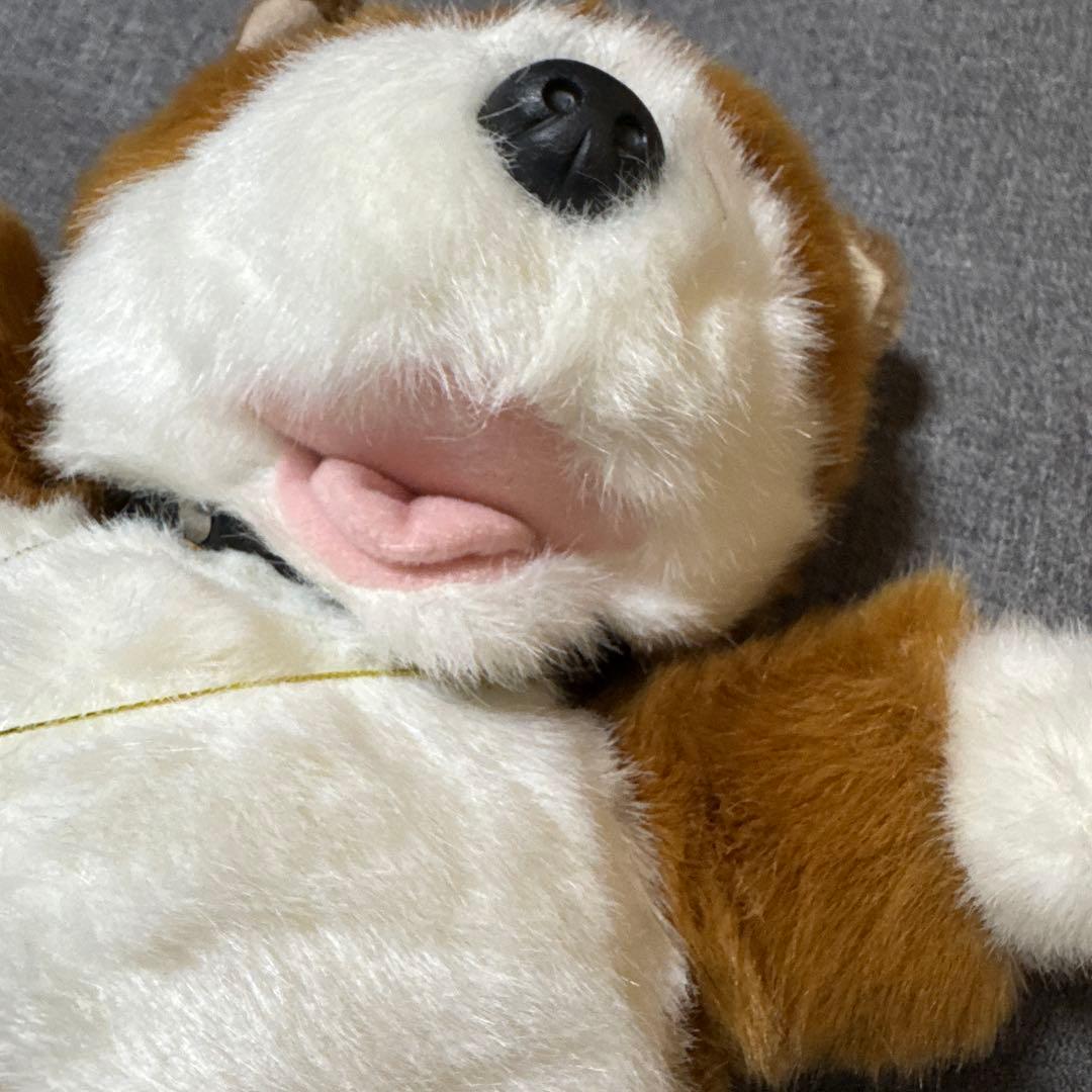希少⭐︎柴犬のシバタくん　レトロなぬいぐるみ⭐︎しばいぬ　しばけん