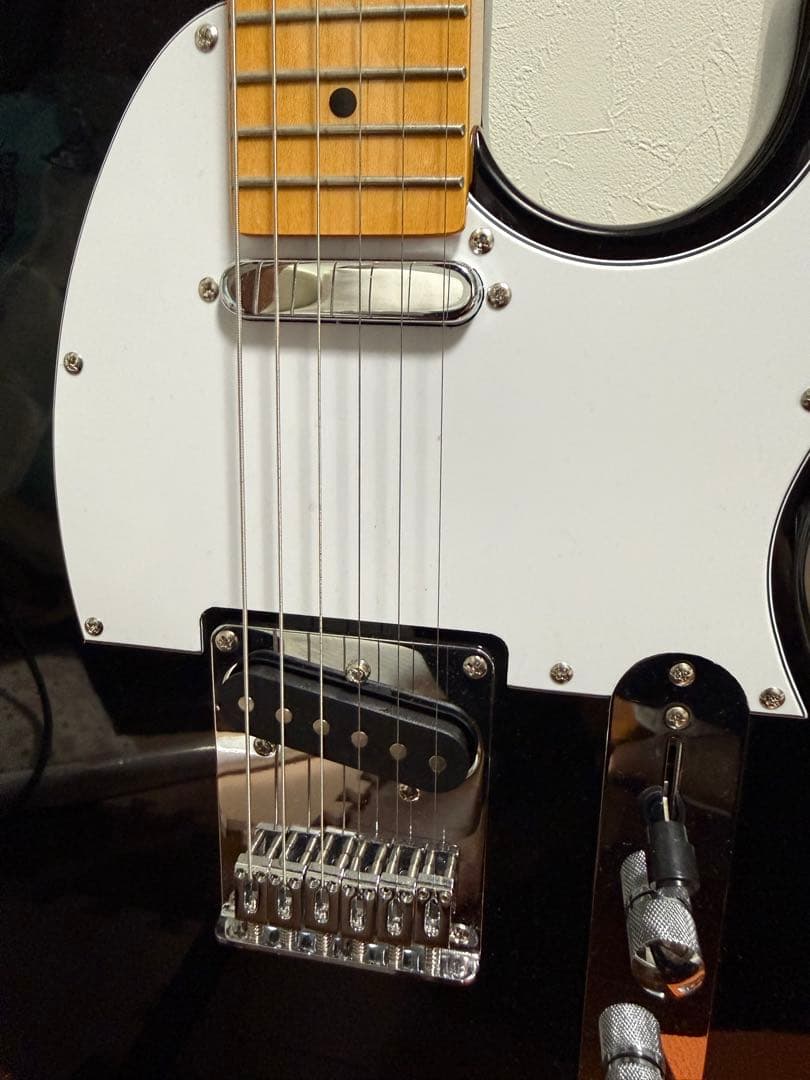 ギター Tagima guitar tw-55