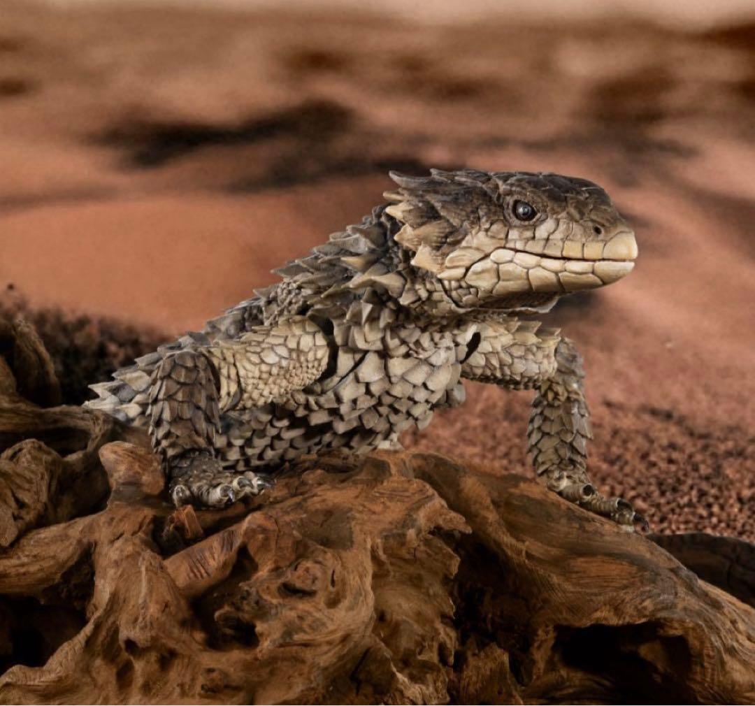 いきもの大図鑑アルティメット オオヨロイトカゲ 新品未開封