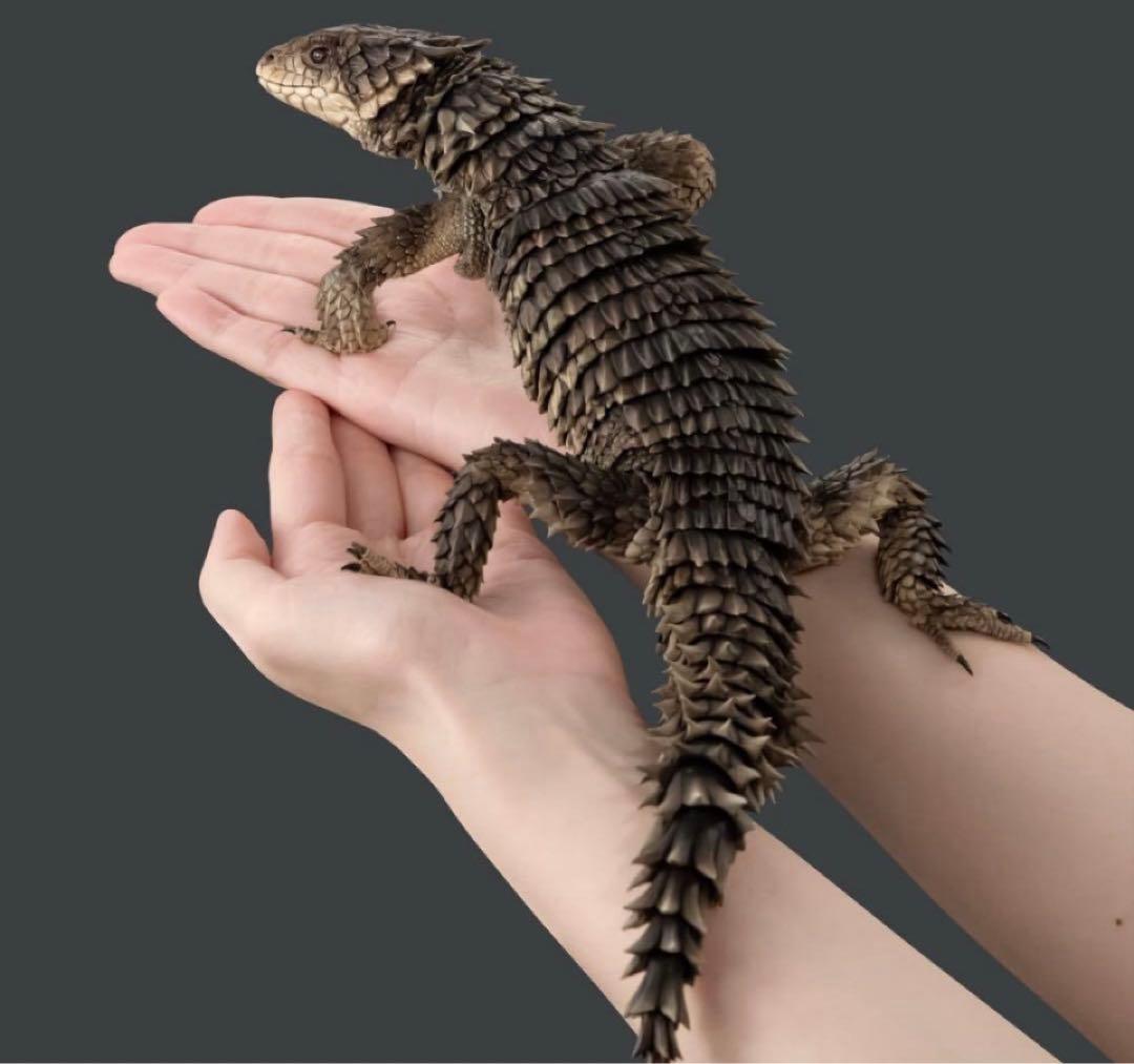 いきもの大図鑑アルティメット オオヨロイトカゲ 新品未開封