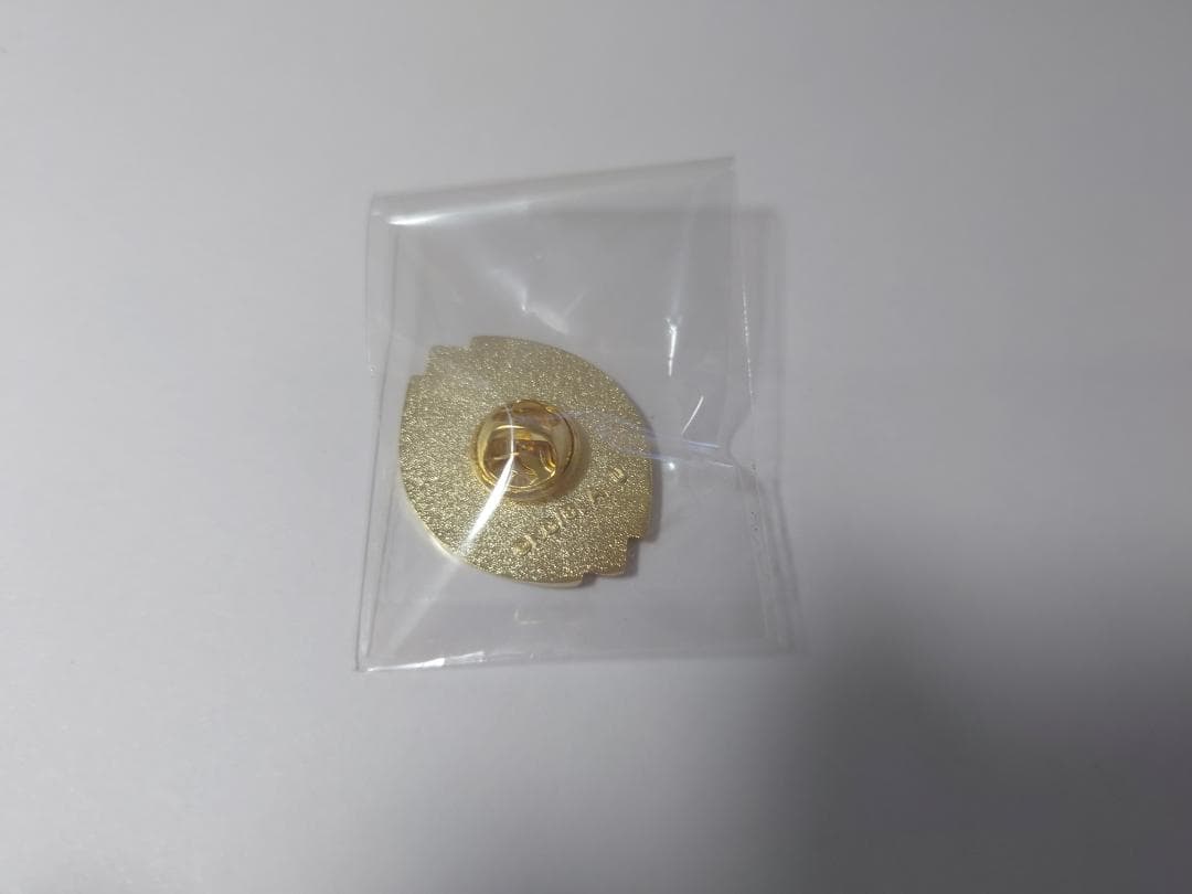 鬼滅の刃 隊士百景 コレクションピンズ 不死川実弥 不死川玄弥