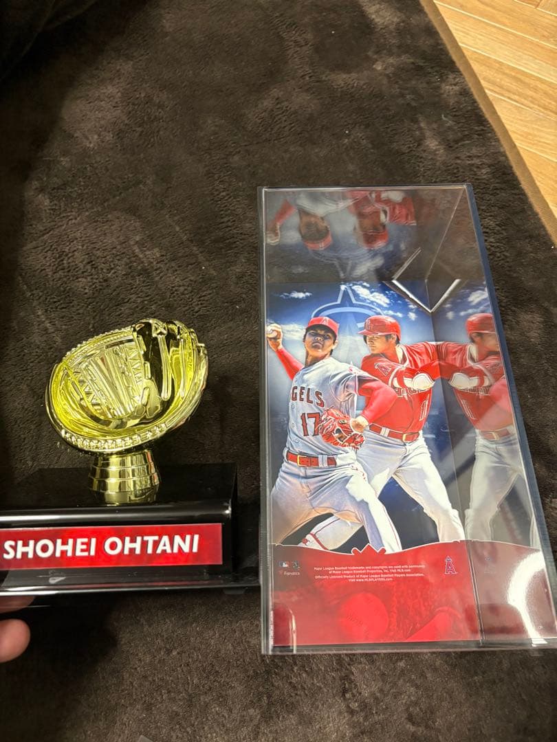 S*a様 大谷翔平　直筆サインボール