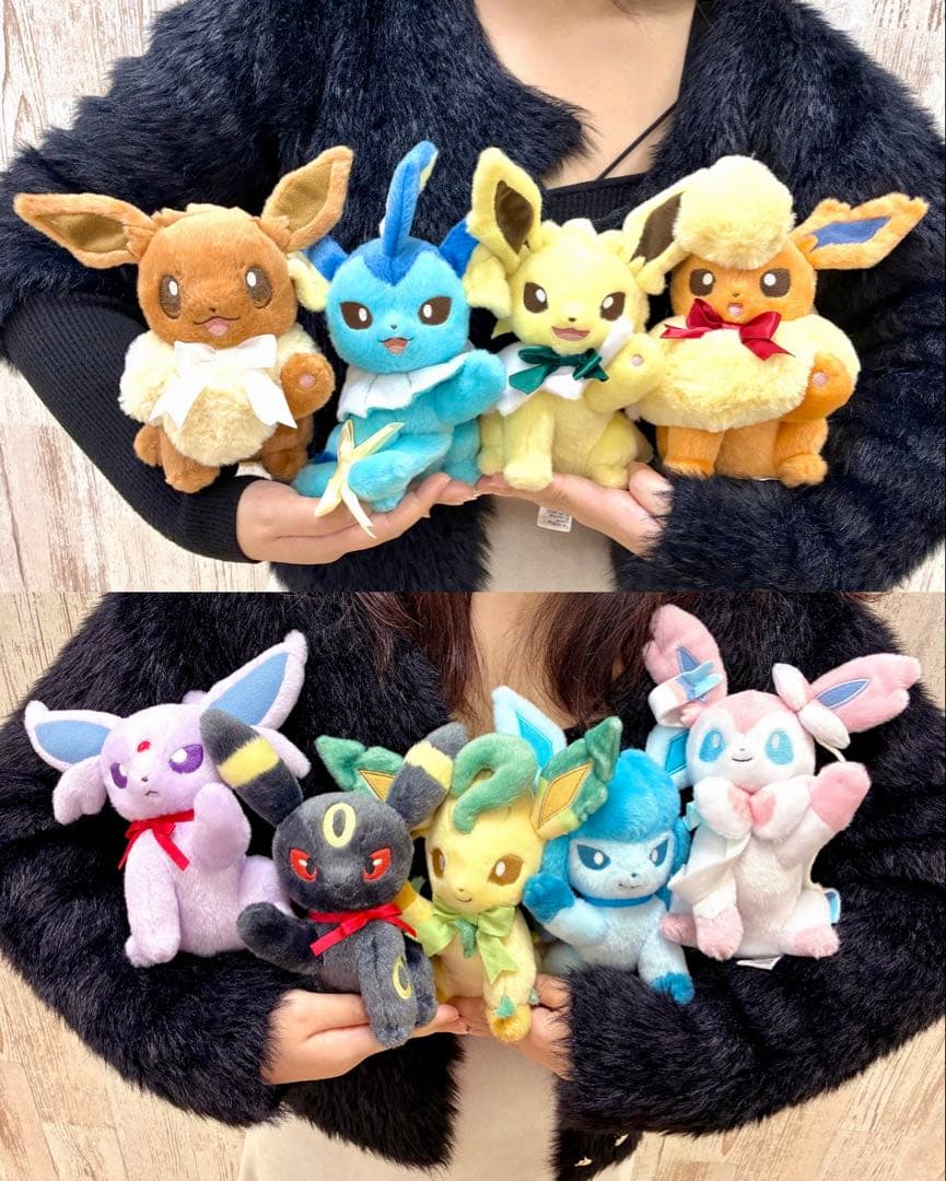 【10点セット】Eevee Collection ぬいぐるみ＋ウォールポケット
