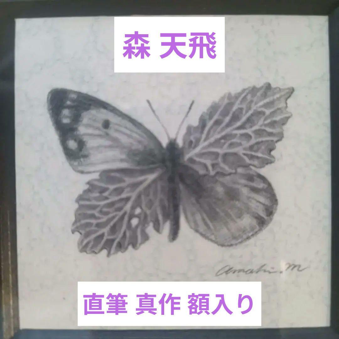 【新春特価】★希少★真作★森天飛★葉蝶 モンキチョウ★サイン有り