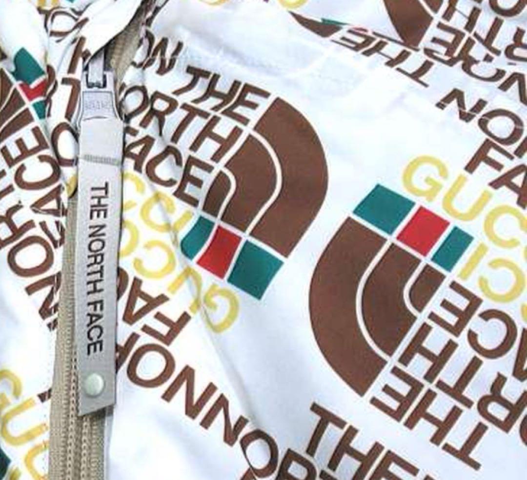 希少■ GUCCI×ノースフェイス コラボ！レア 寝袋 スリーピング TNF